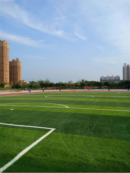 artificial football turf420.jpg artificial football turf420.jpg